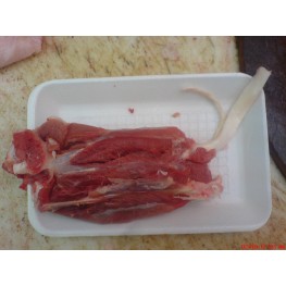 健營有筋骨豬展仔
