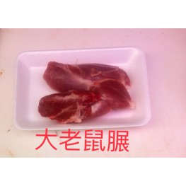 健營大老鼠展
