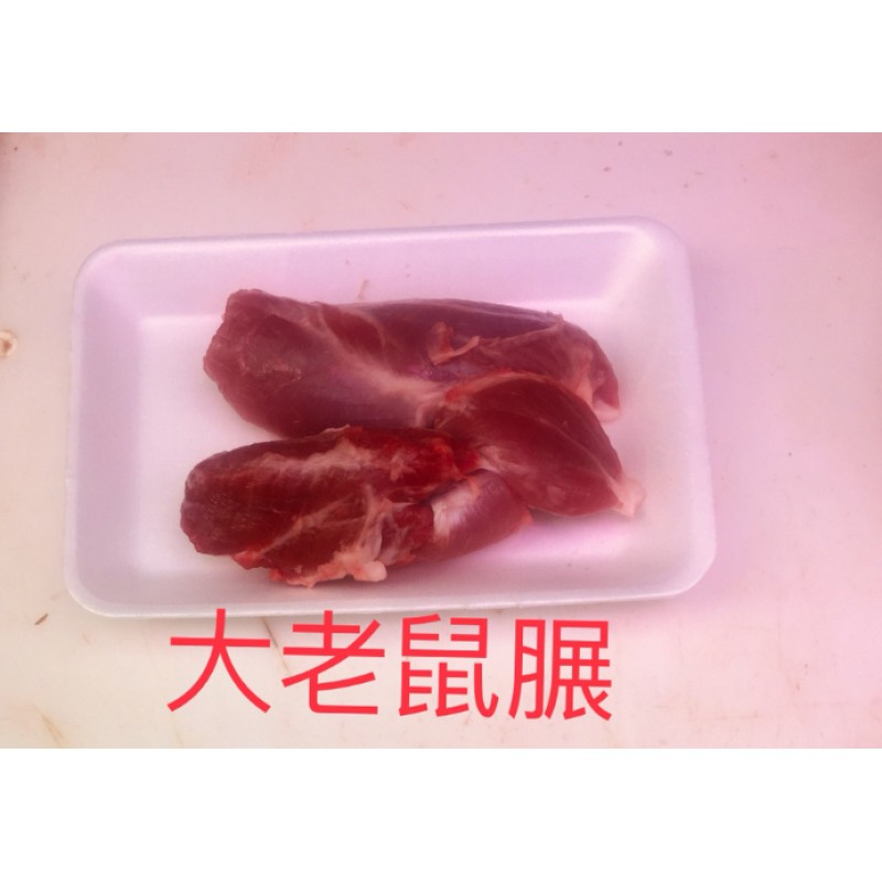 健營大老鼠展