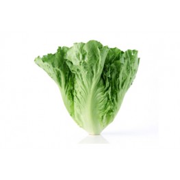生菜 (歡迎查詢)