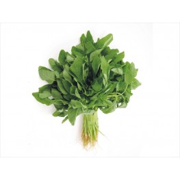 莧菜(歡迎查詢）