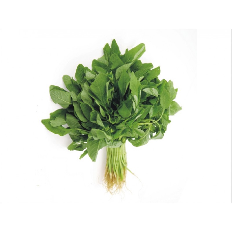 莧菜(歡迎查詢）