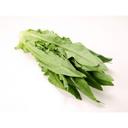 油麥菜(歡迎查詢)