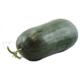 冬瓜(歡迎查詢)